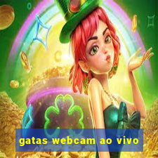 gatas webcam ao vivo