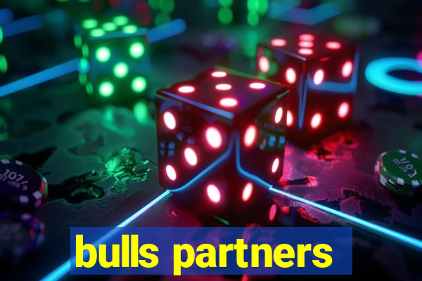 bulls partners