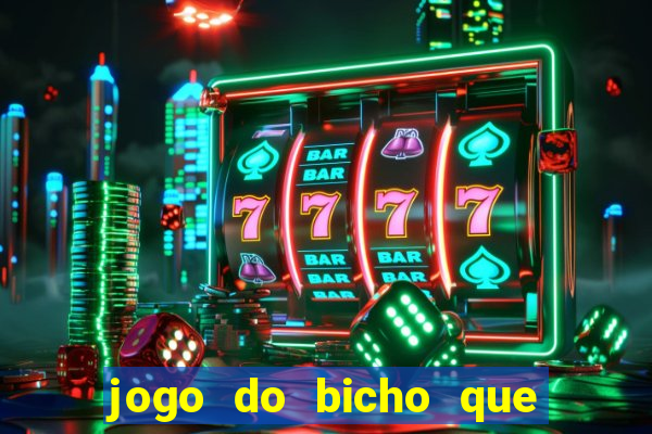 jogo do bicho que paga no pix