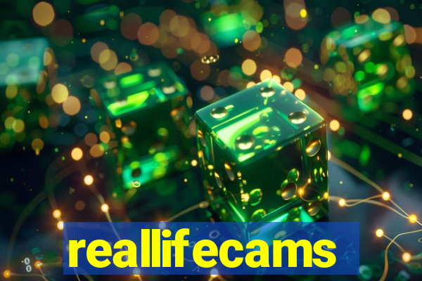 reallifecams