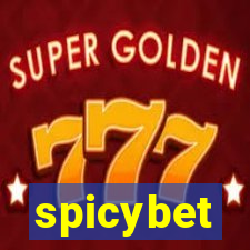 spicybet-1.com